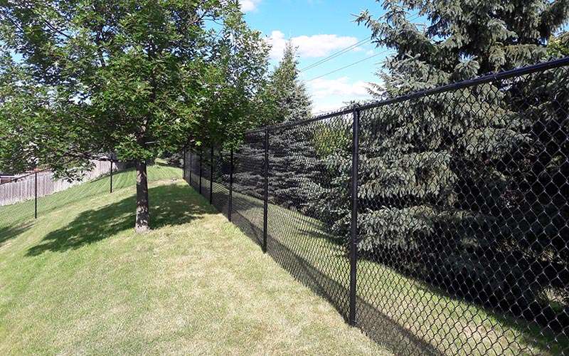 Choosing Your Champion: Which Fence Material is Best for Your Home?